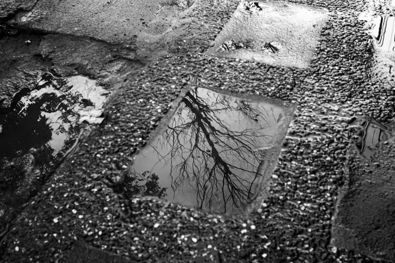 Rainwater pooling on an area of block paving where the base has settled